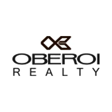 Real Estate Developer Partner