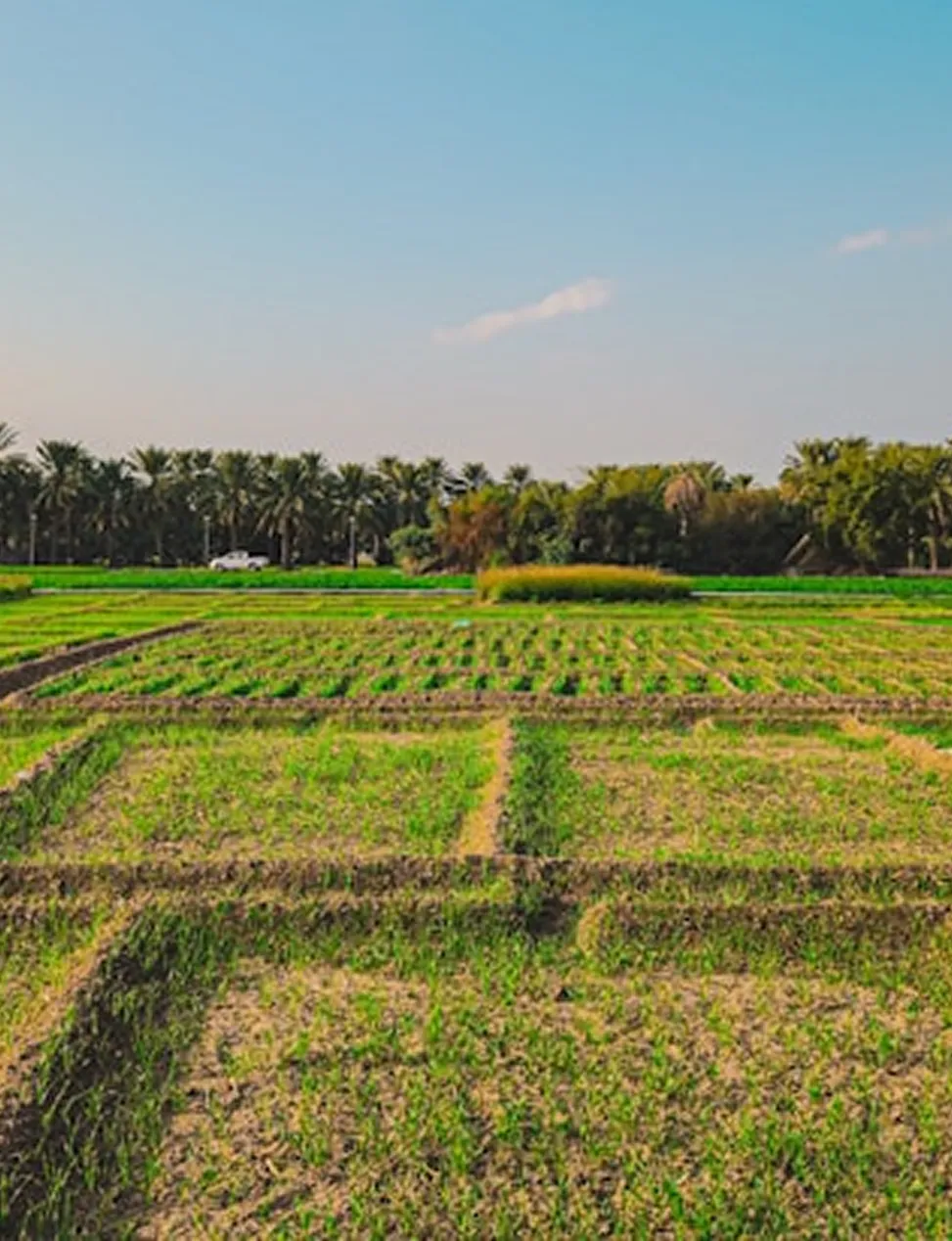 Land and Plots for sale